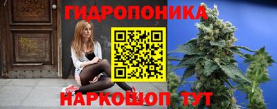 ECSTASY Новоалександровск