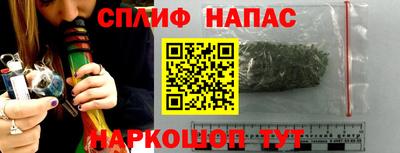 ECSTASY Новоалександровск
