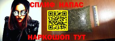 ECSTASY Новоалександровск